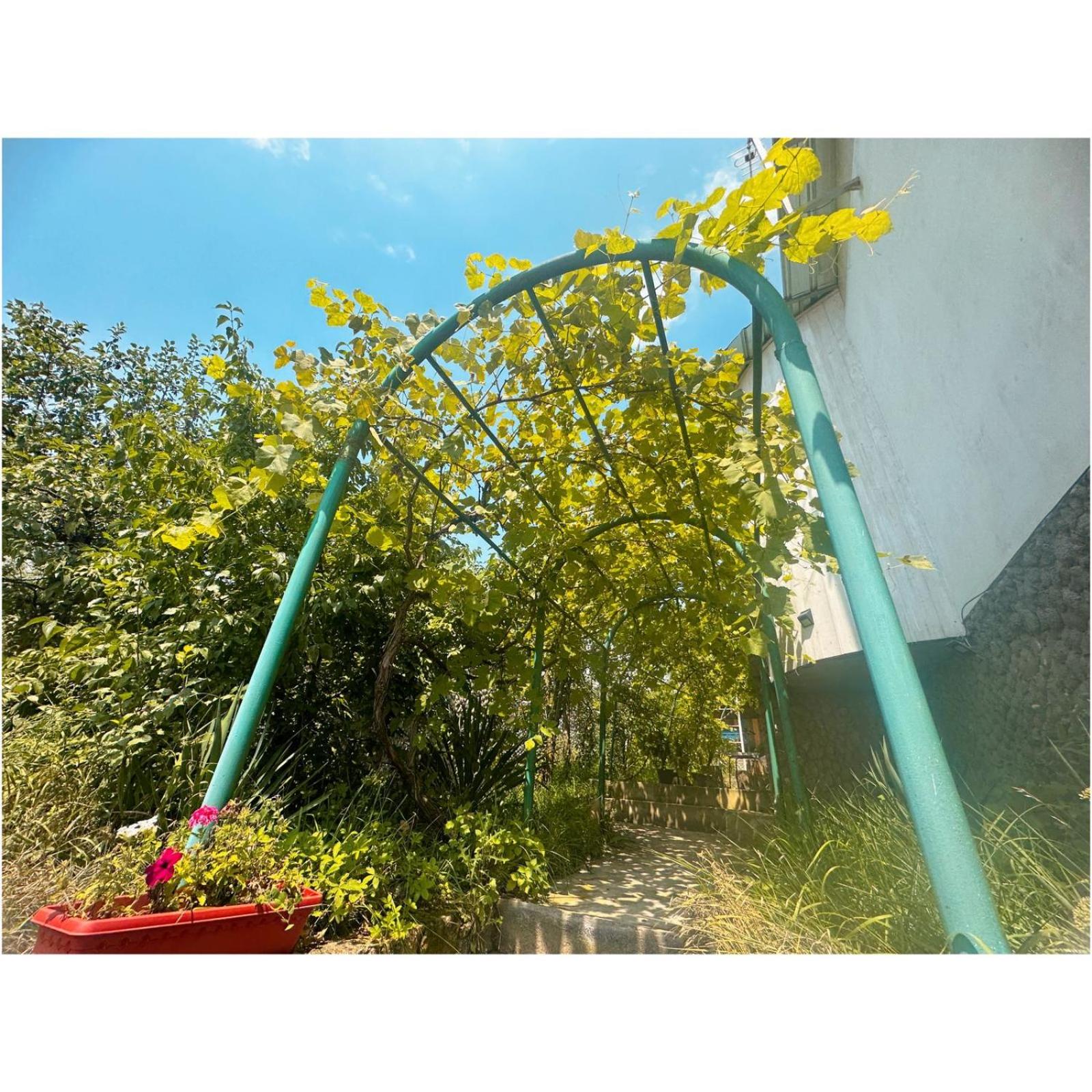 Paloma Bed and Breakfast