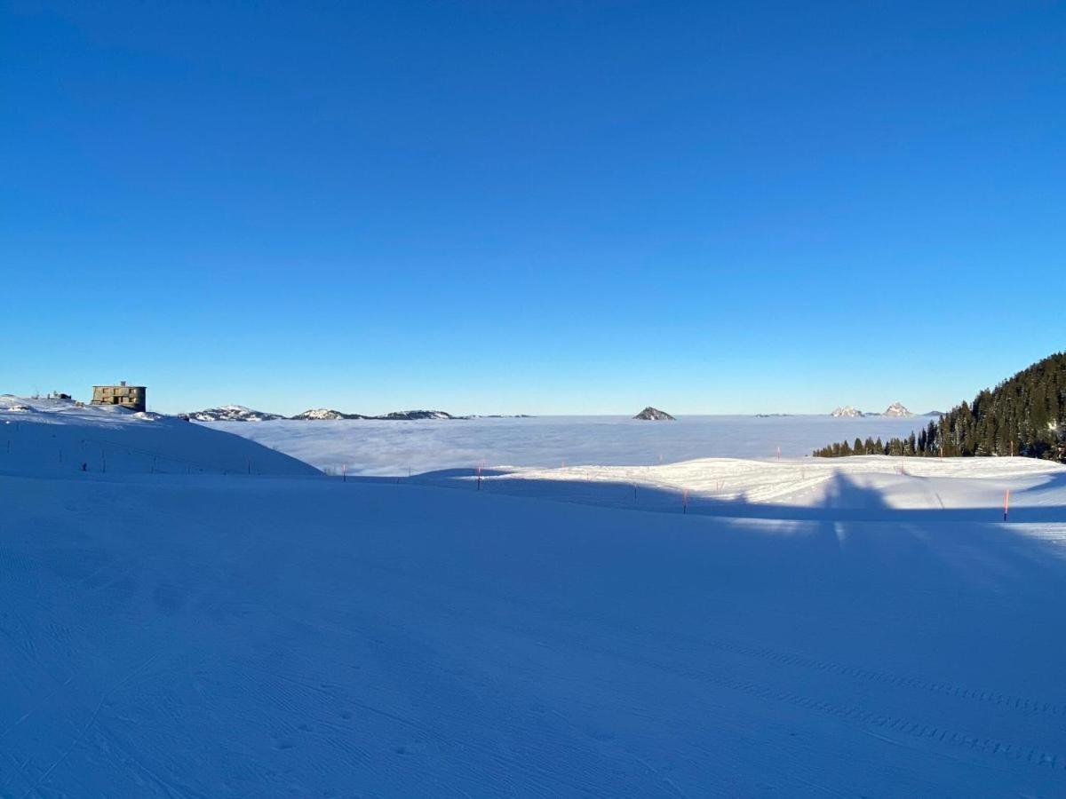 SoloHike MountainView