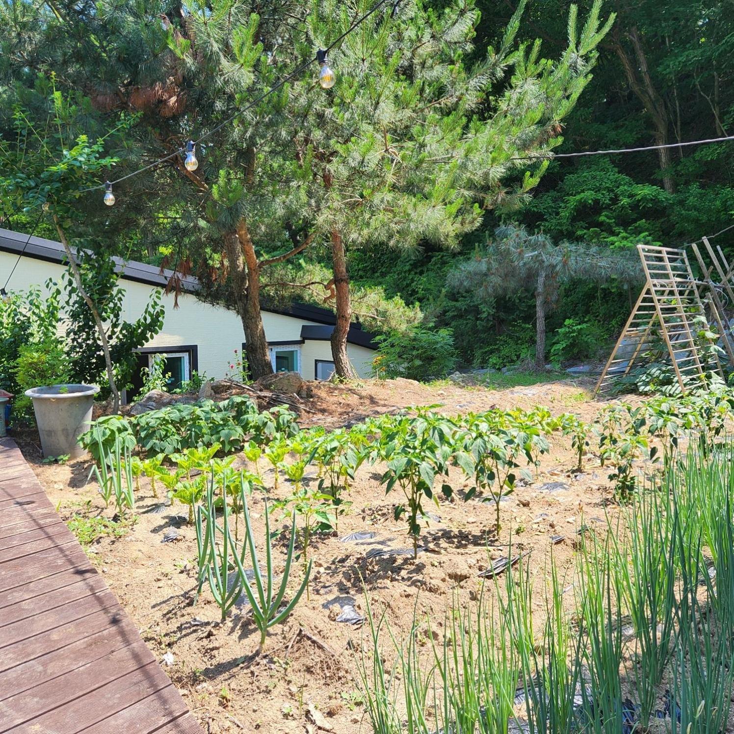 Samhyeongjebonggil Pension