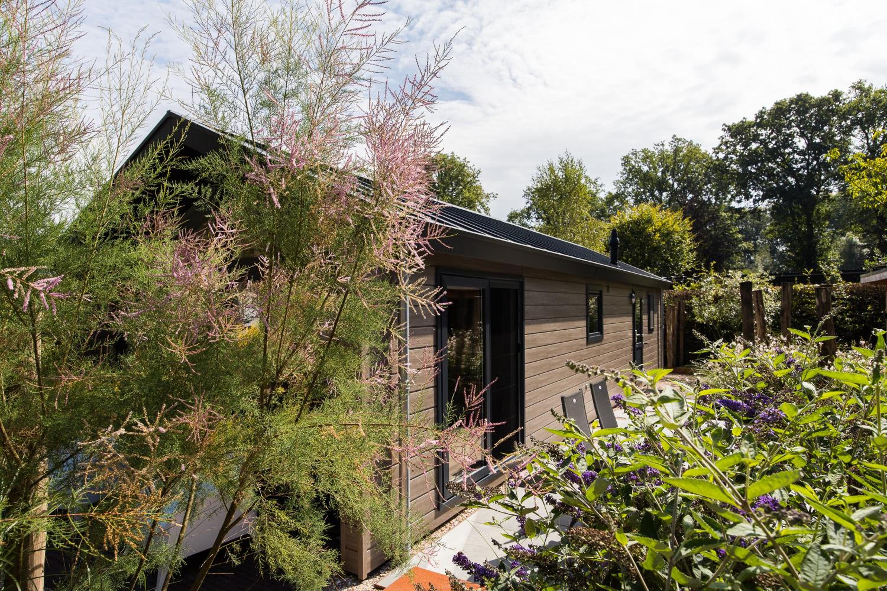 Photo 60