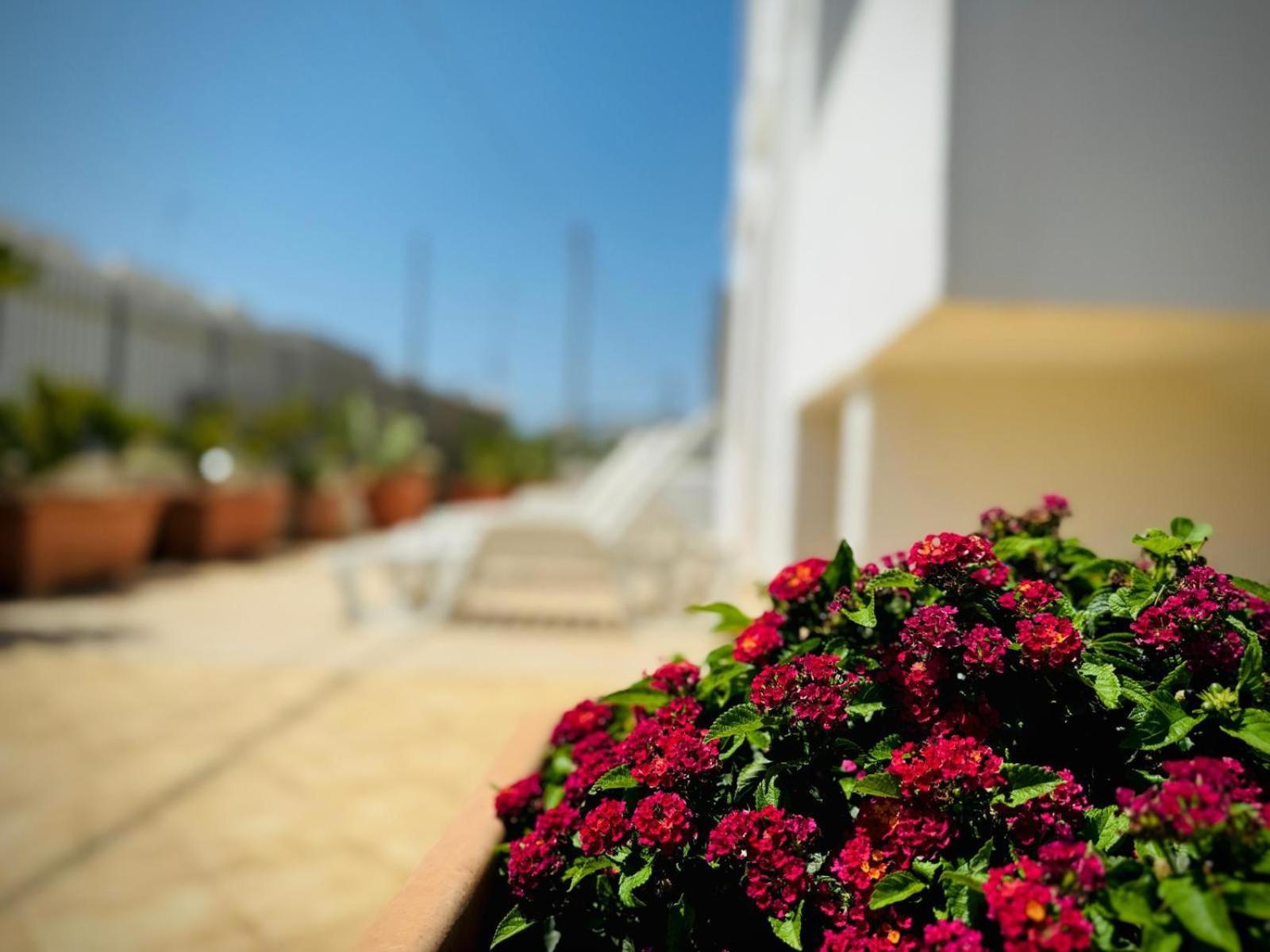 Residence Trande photo 4