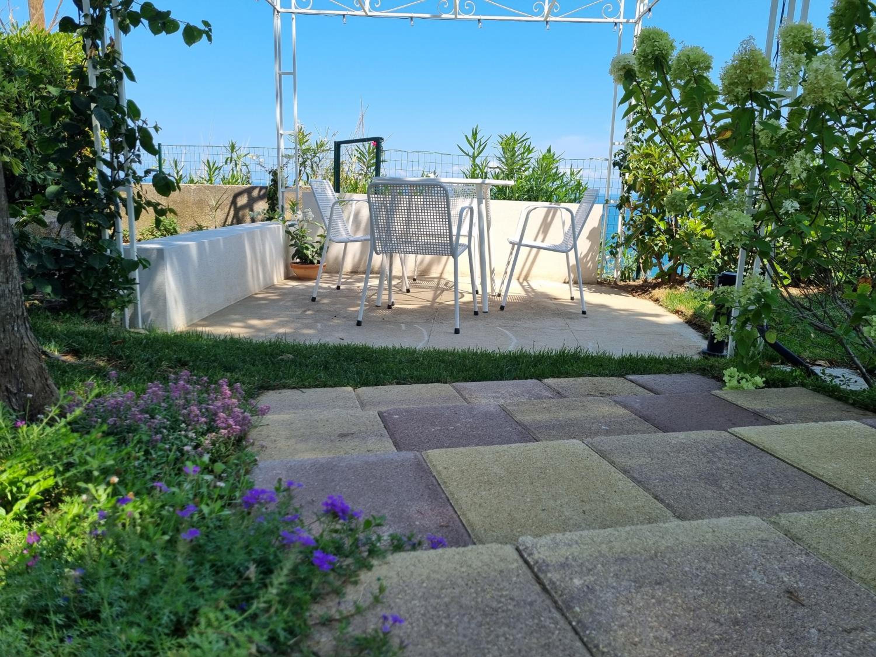 Photo 12
