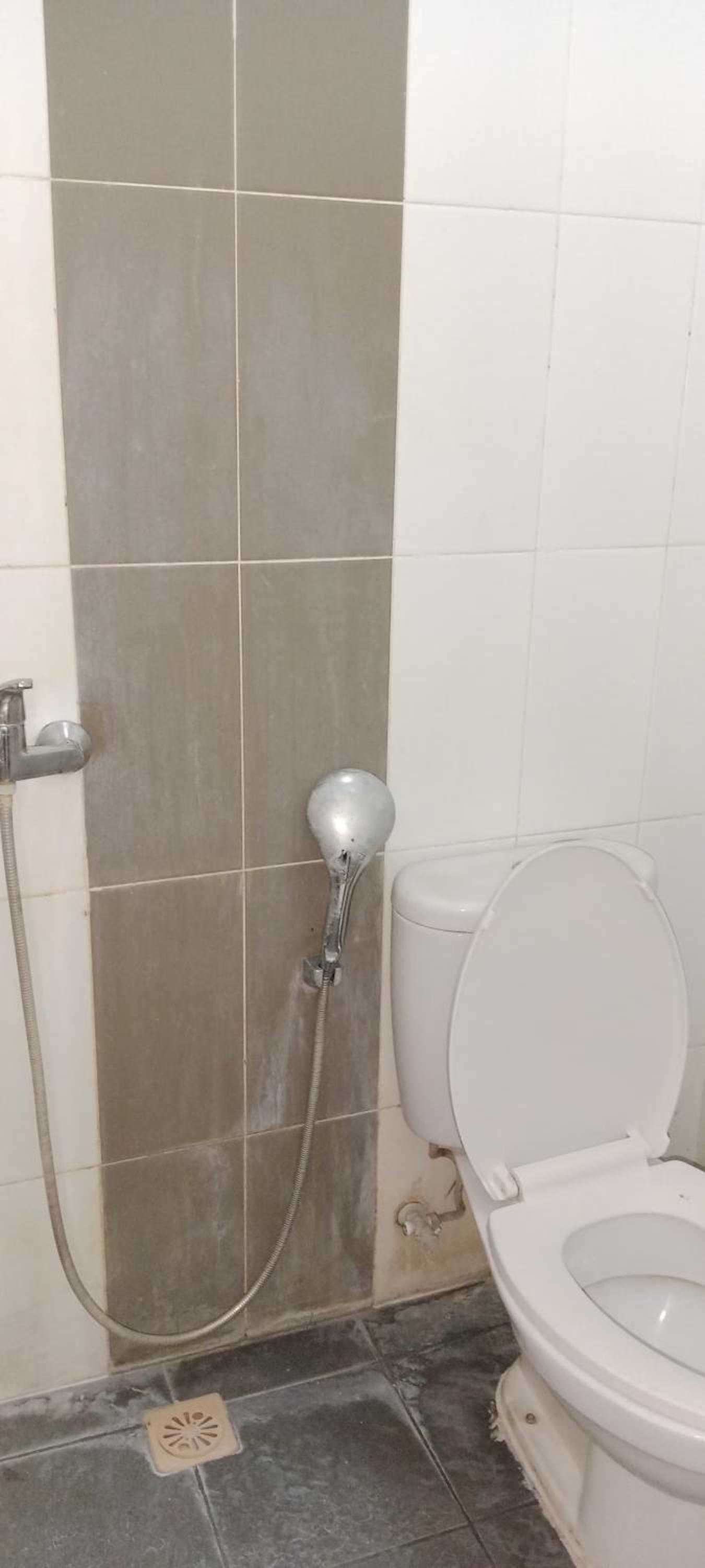 Kost Agricola