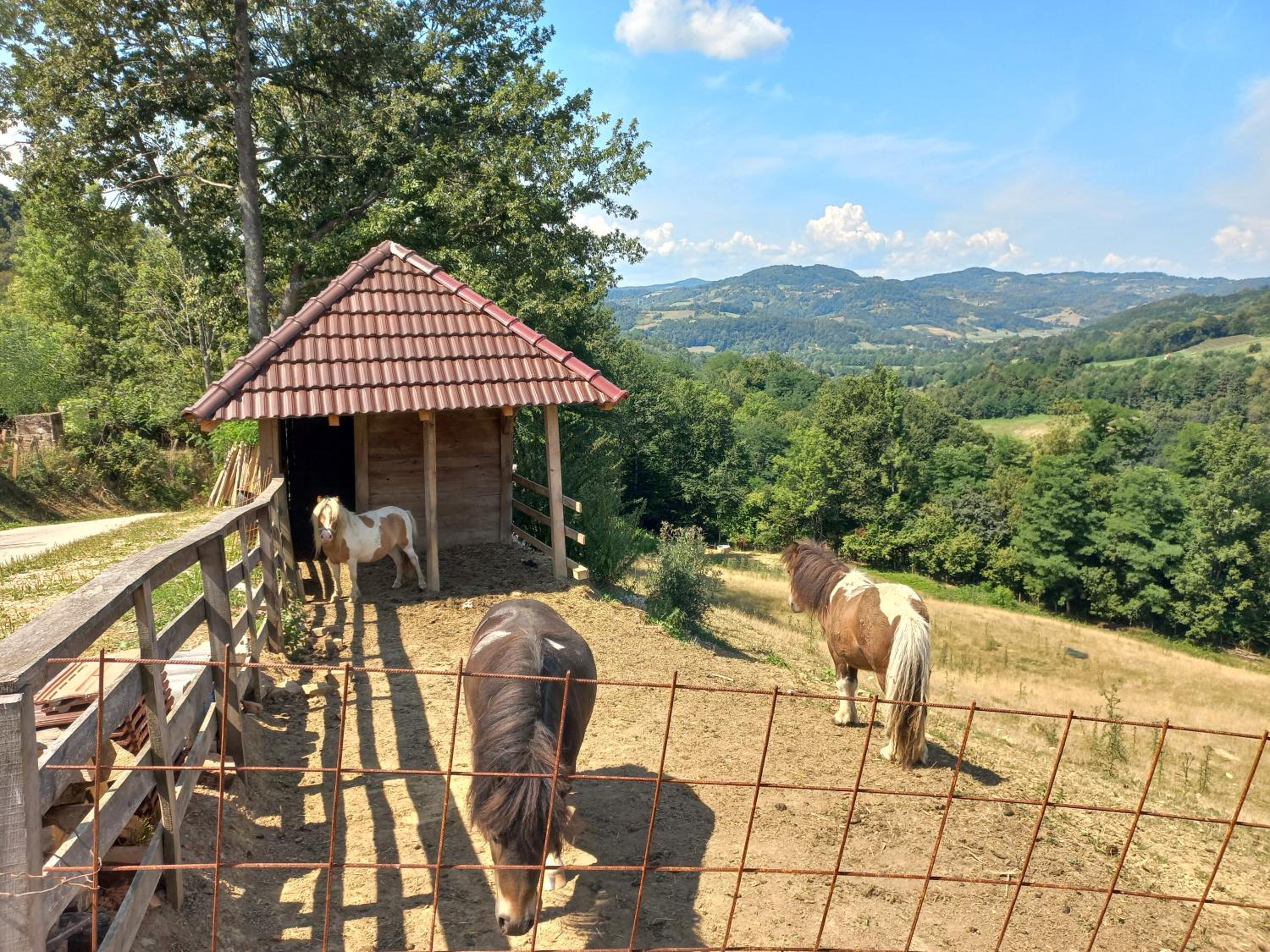 Apartmani Nase brdo view 5