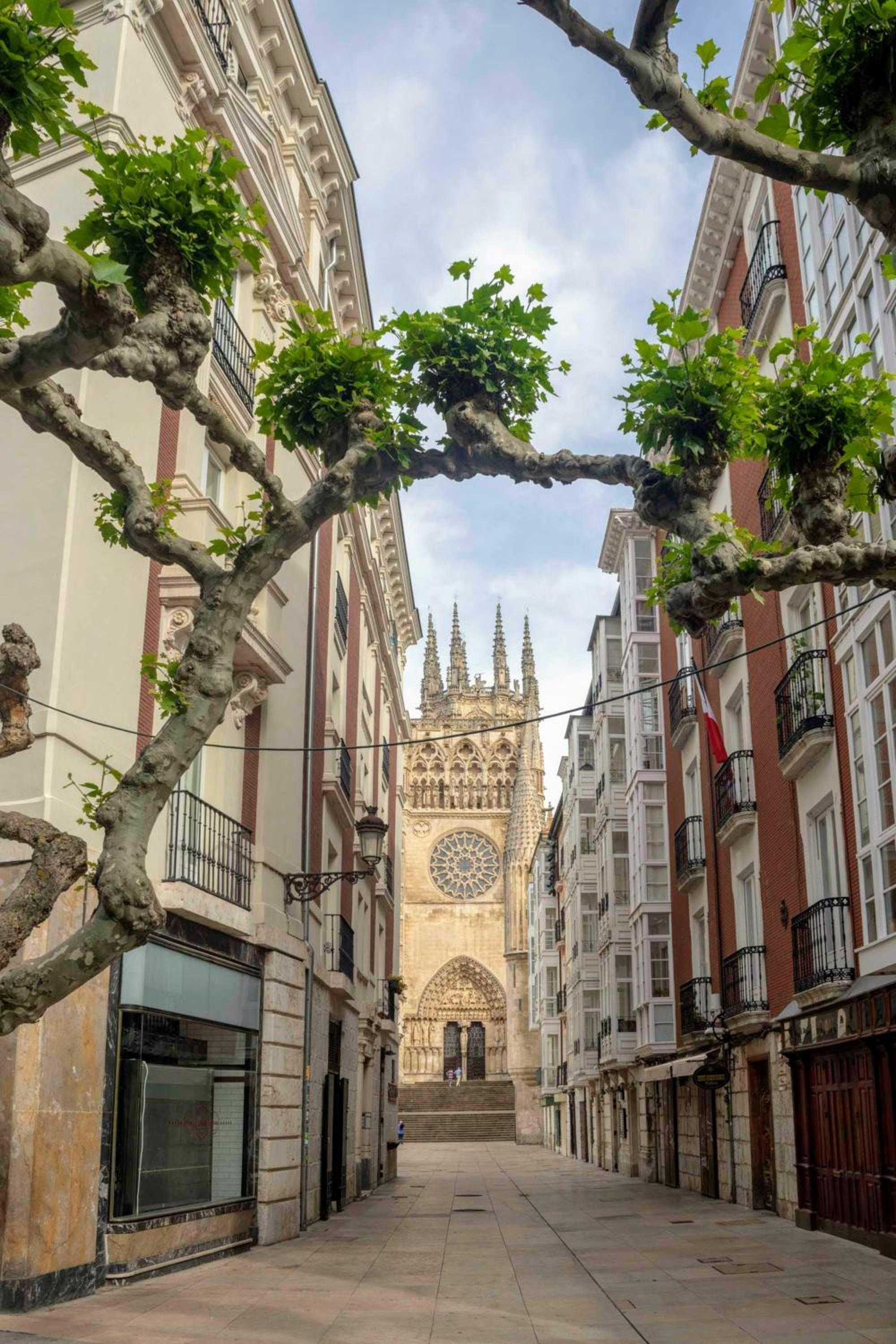 Magic stay in Granada with private parking view 5