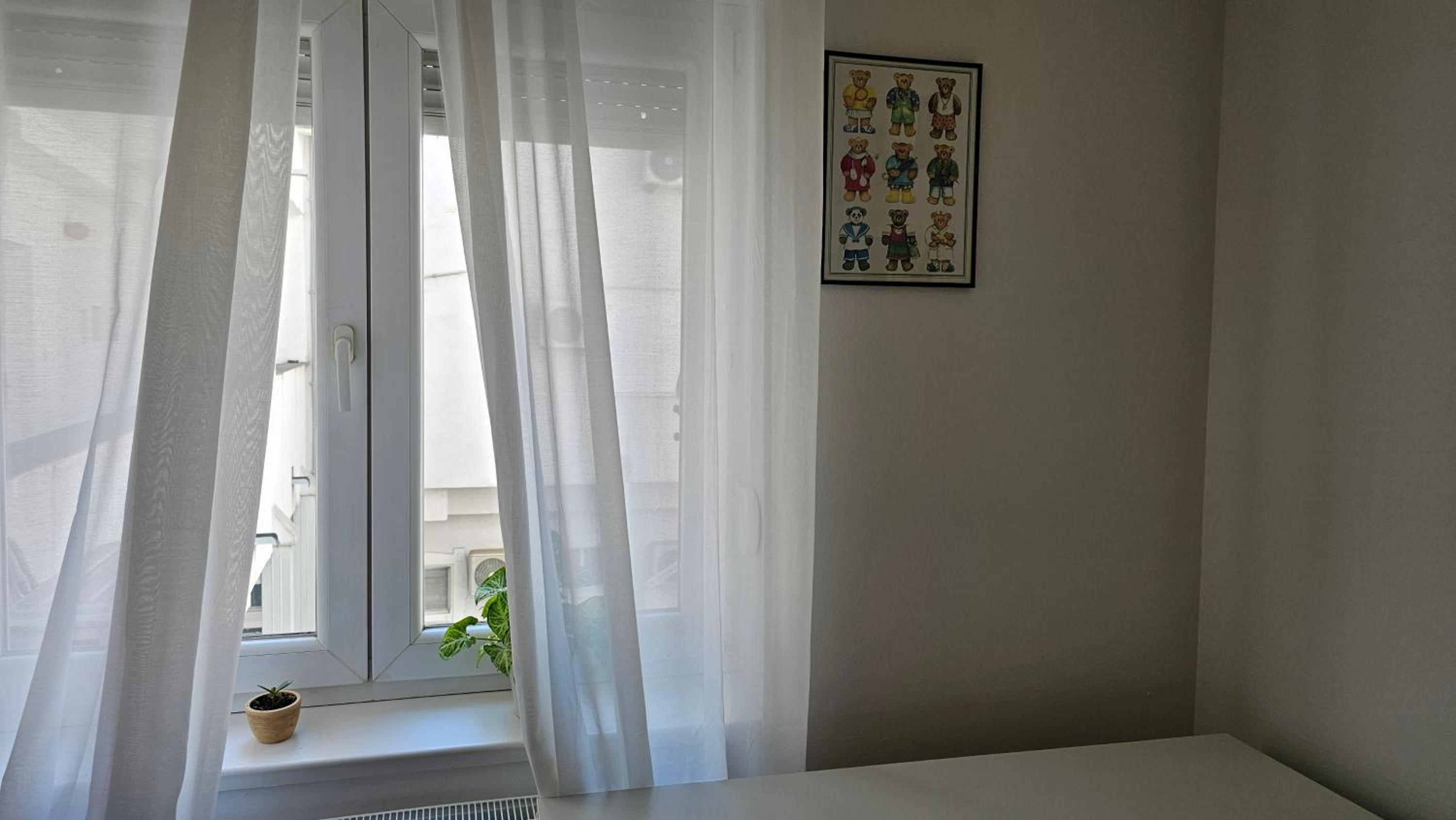 Apartment Teddy