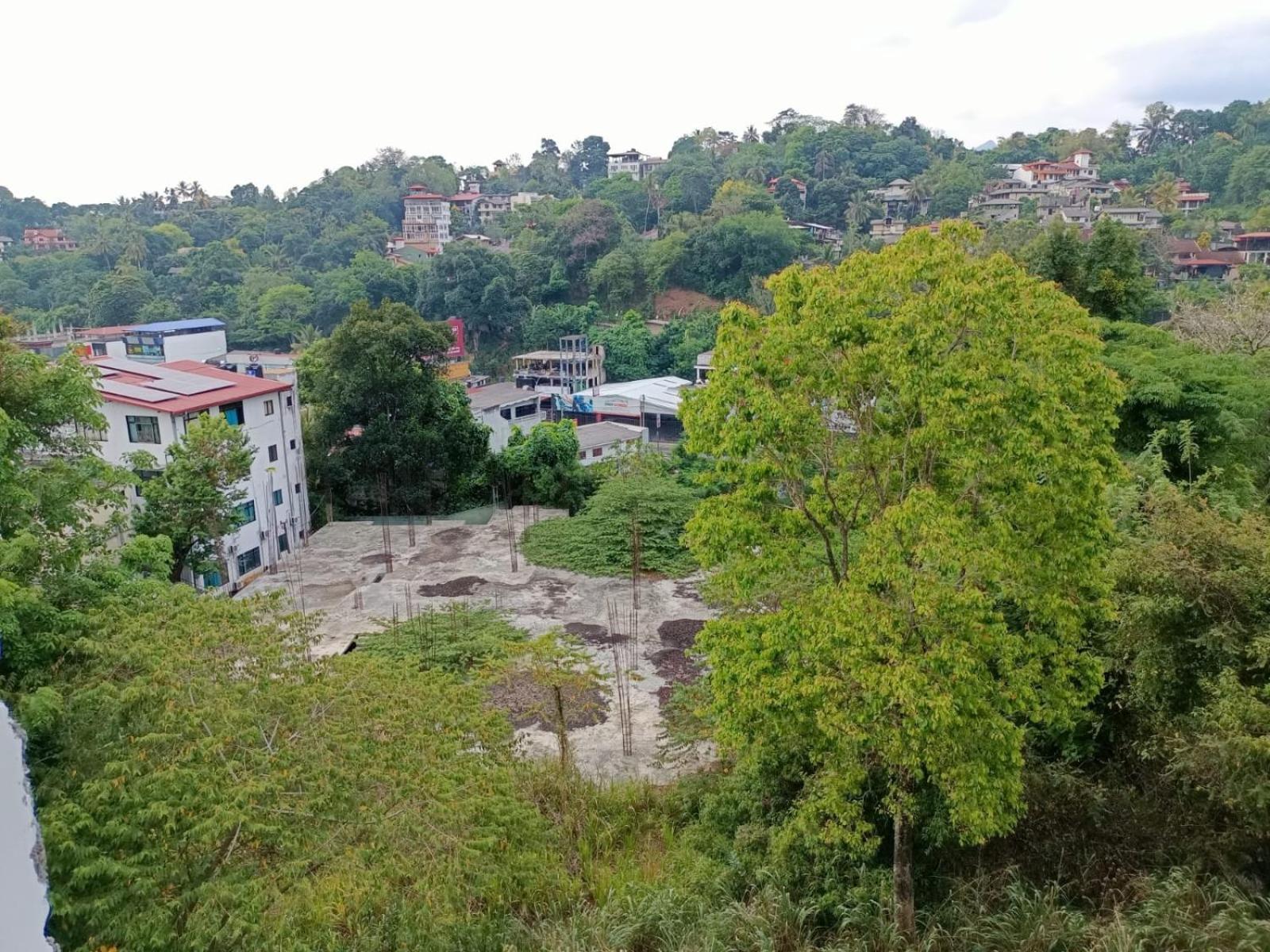 Serendib Guest Inn view 4