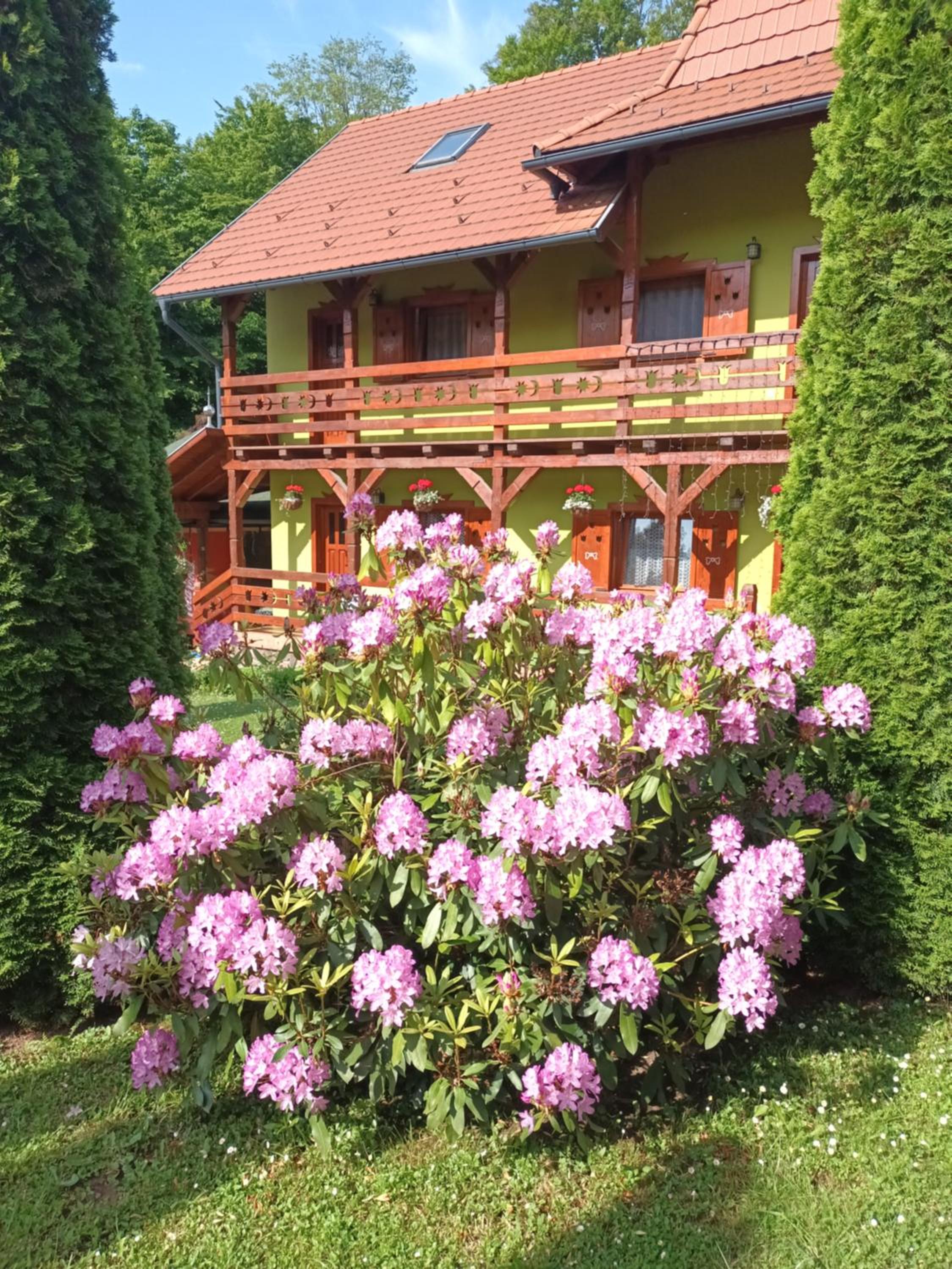 Photo 19