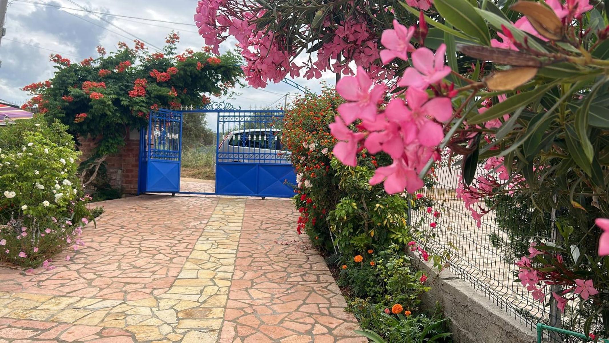 Jeti Guesthouse