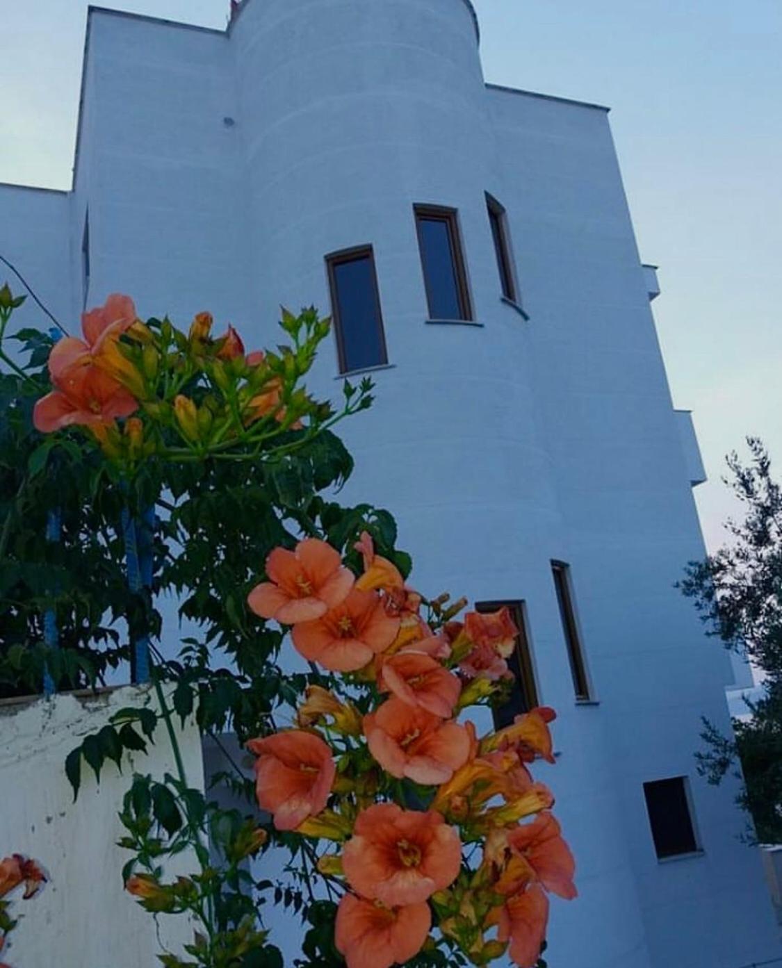 Jeti Guesthouse