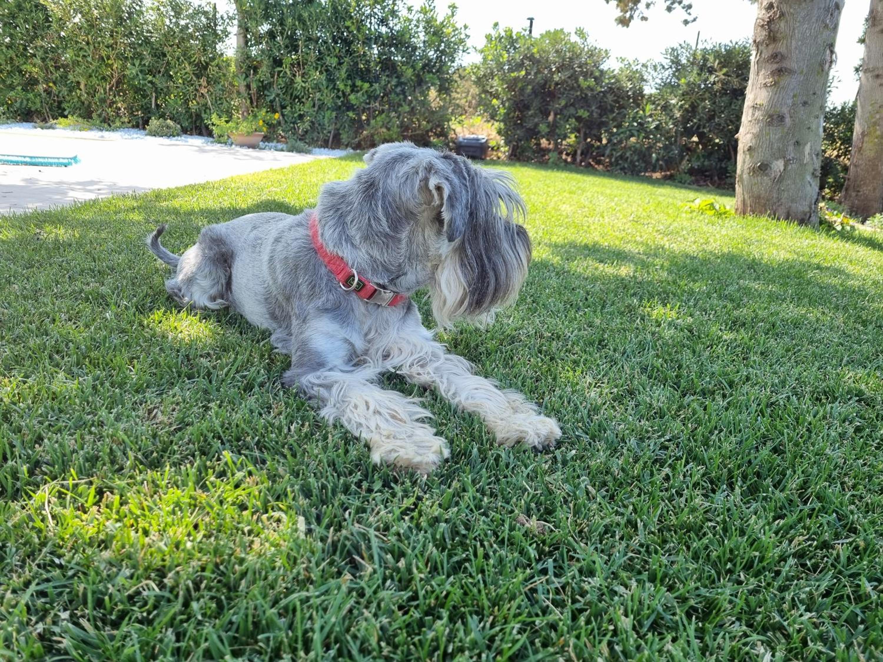 Photo 19