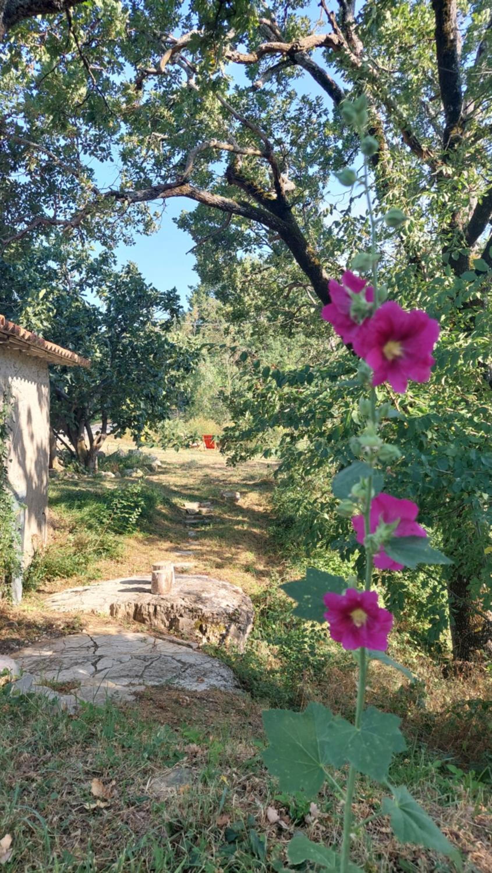lassù minihotel