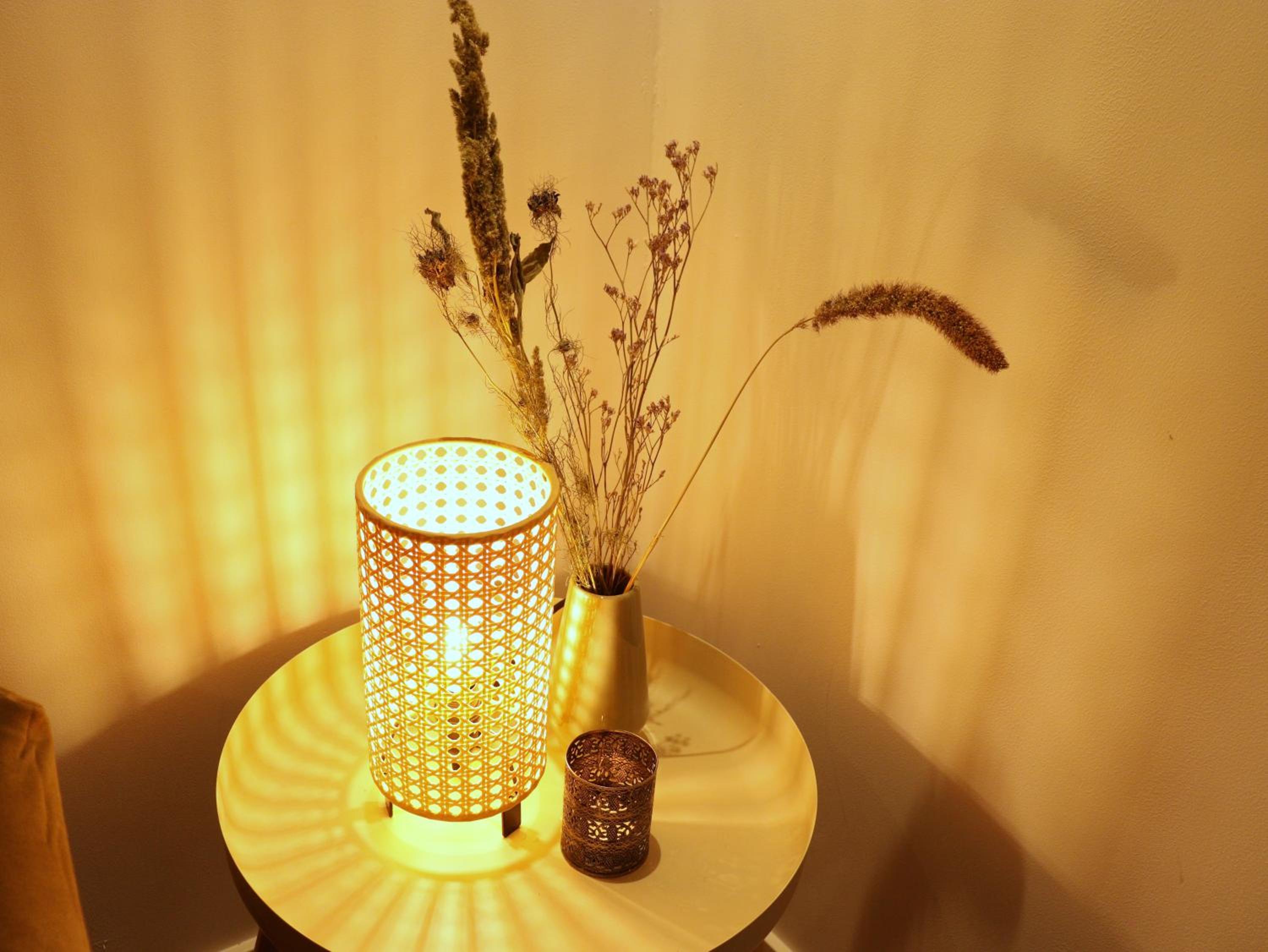 Coolest Apartments in Haarlem City - close to Beach and Amsterdam view 3