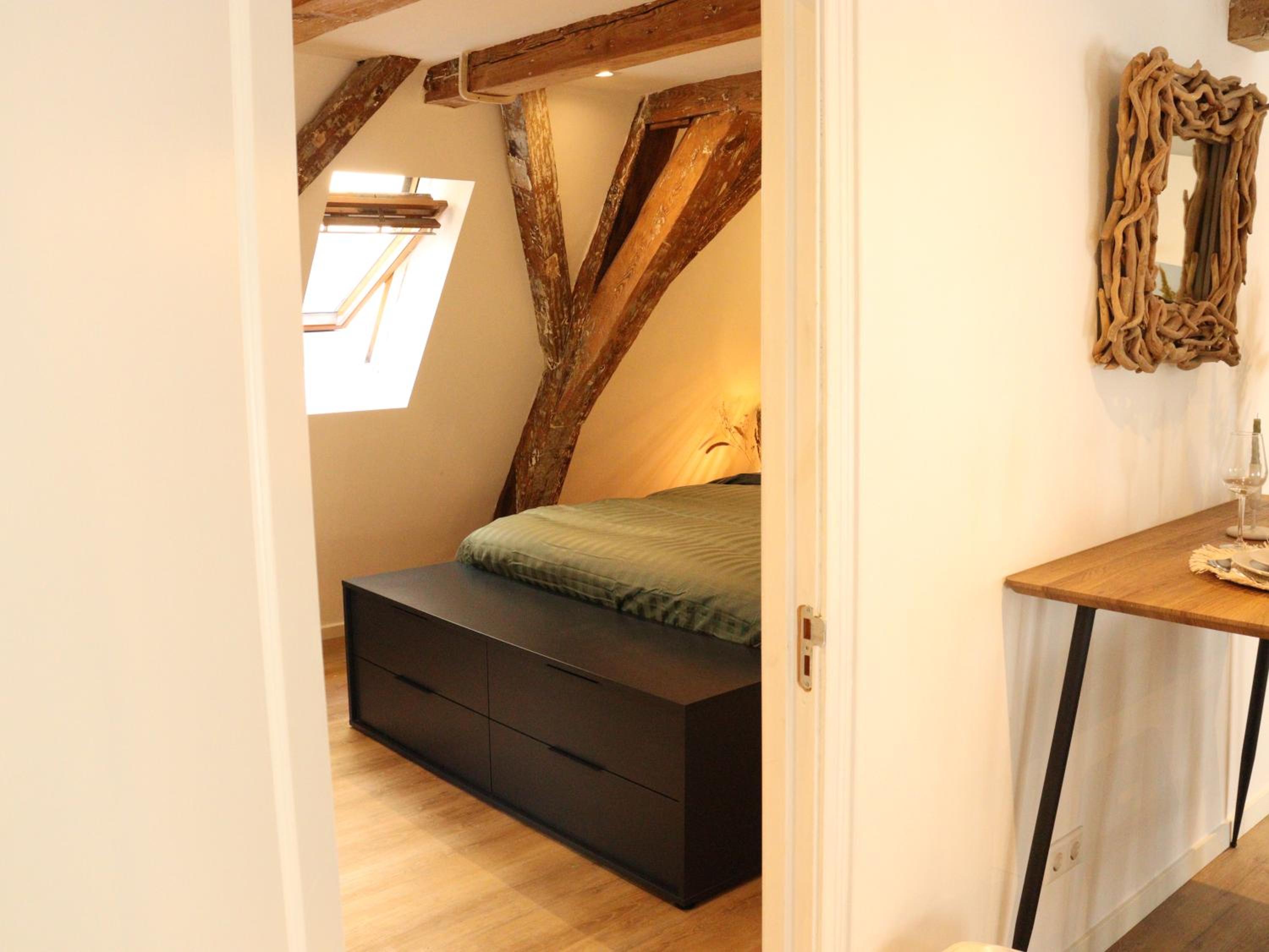 Coolest Apartments in Haarlem City - close to Beach and Amsterdam view 4