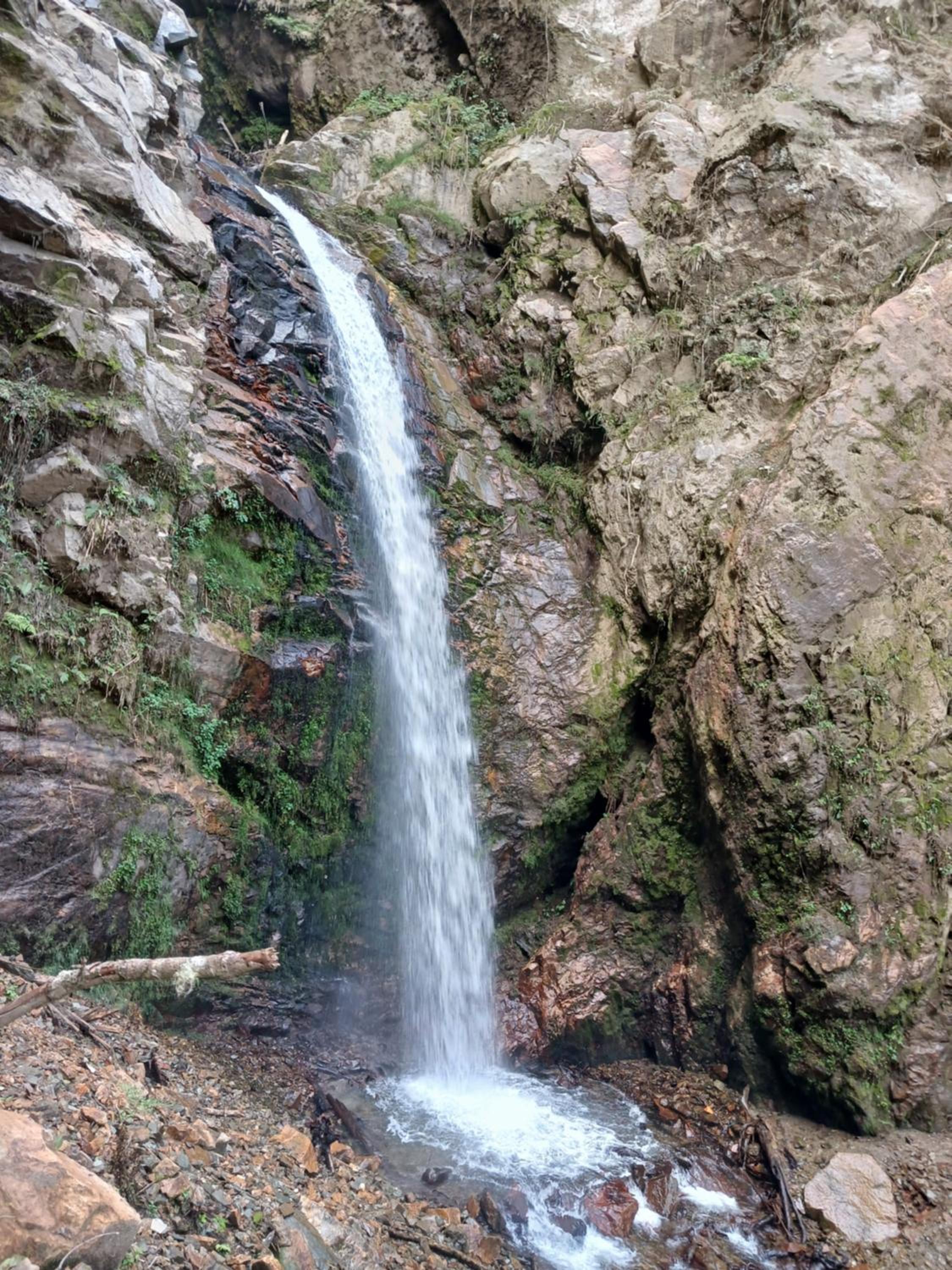 Photo 52