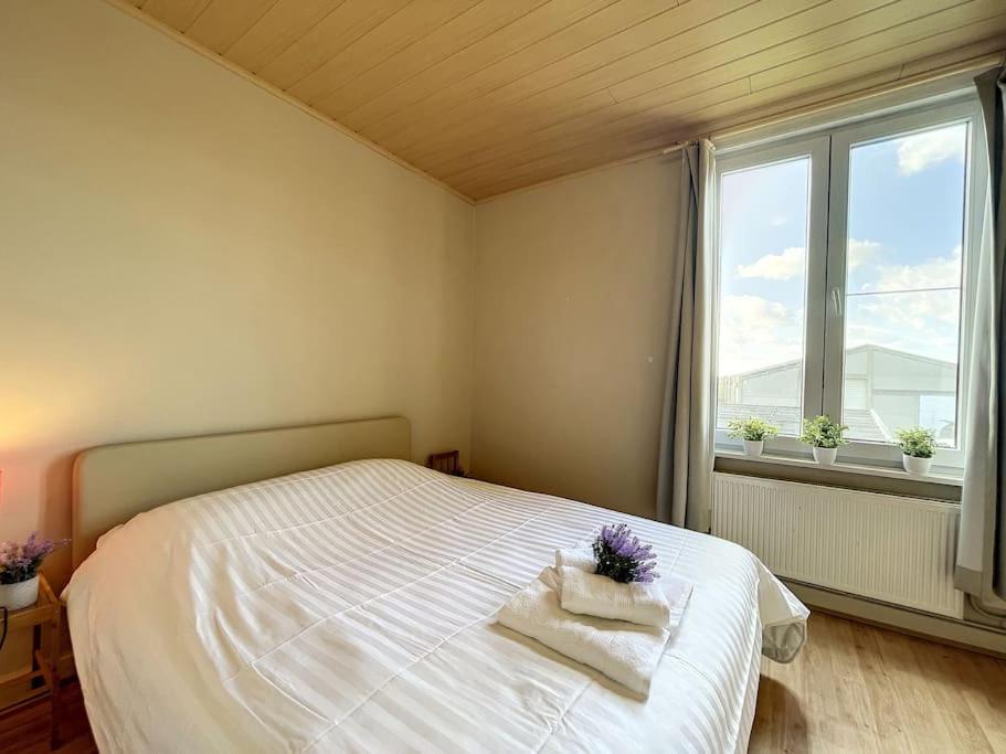 Vakantiehuis Sungarden