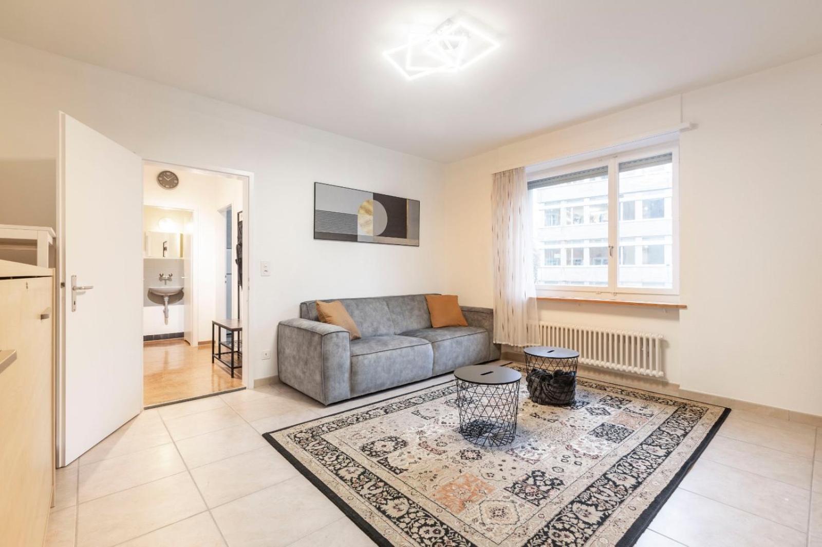 Gemütlich eingerichtete Wohnung im Herzen von Zürich
