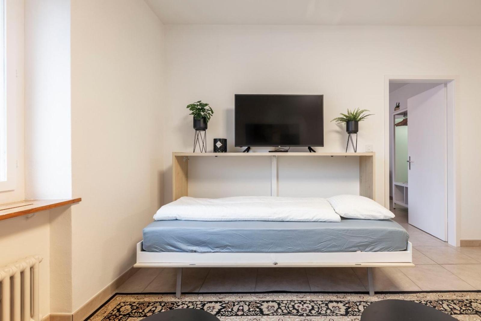 Gemütlich eingerichtete Wohnung im Herzen von Zürich