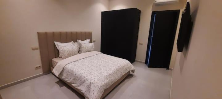 Palmeria luxery
