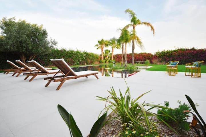 Palmeria luxery