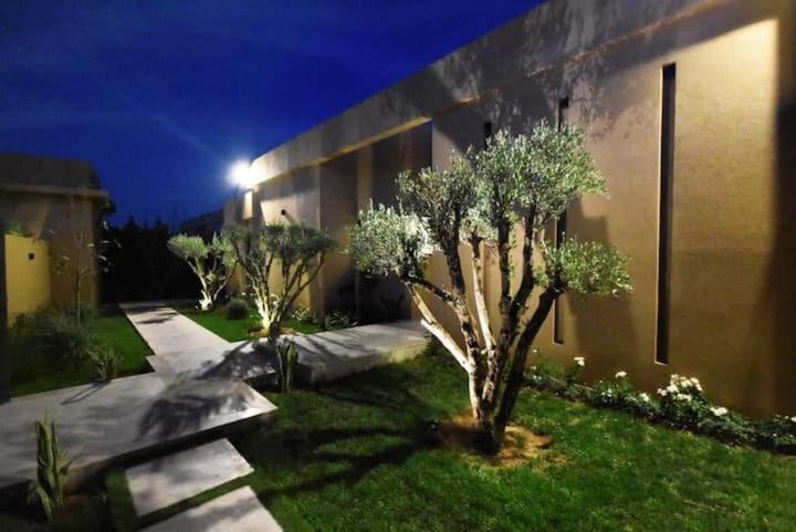 Palmeria luxery