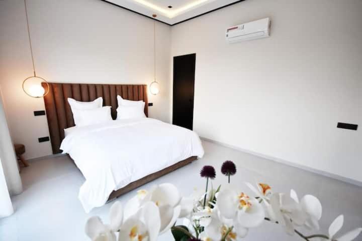 Palmeria luxery