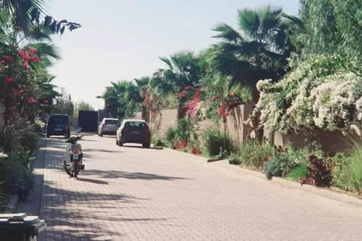 Palmeria luxery