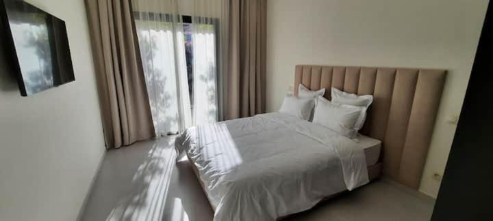 Palmeria luxery