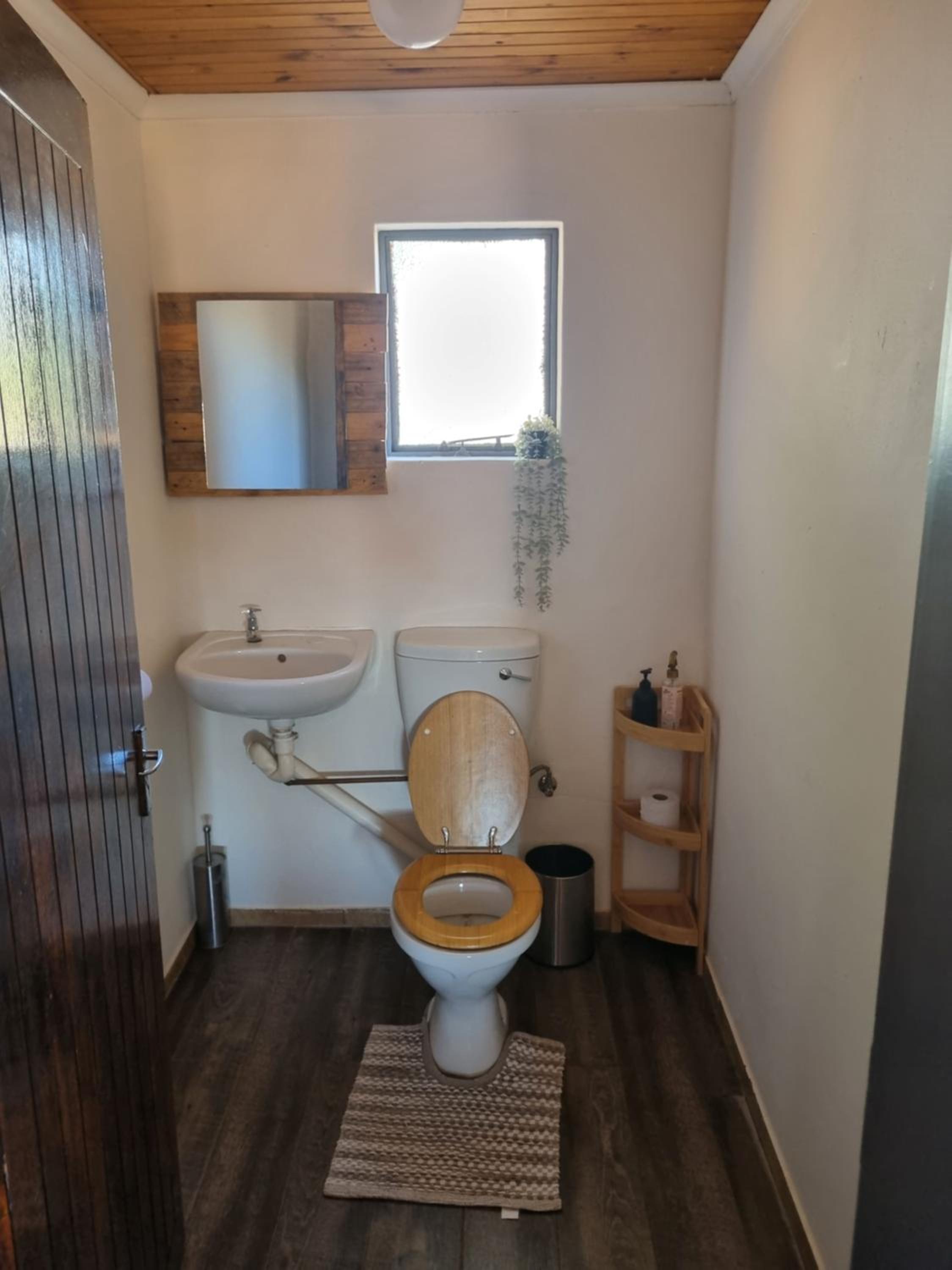 Betta Lodge