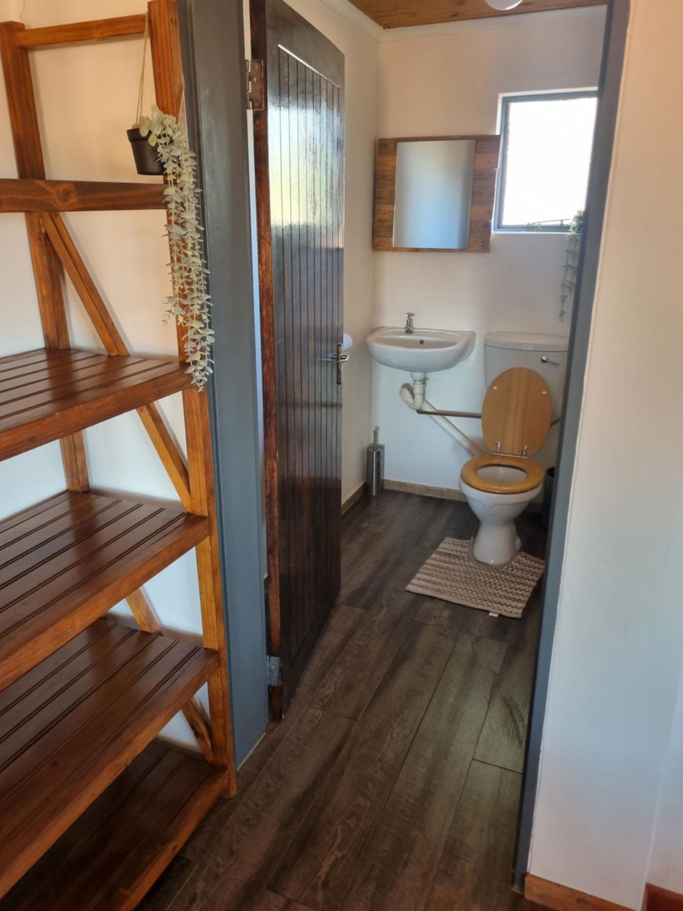 Betta Lodge