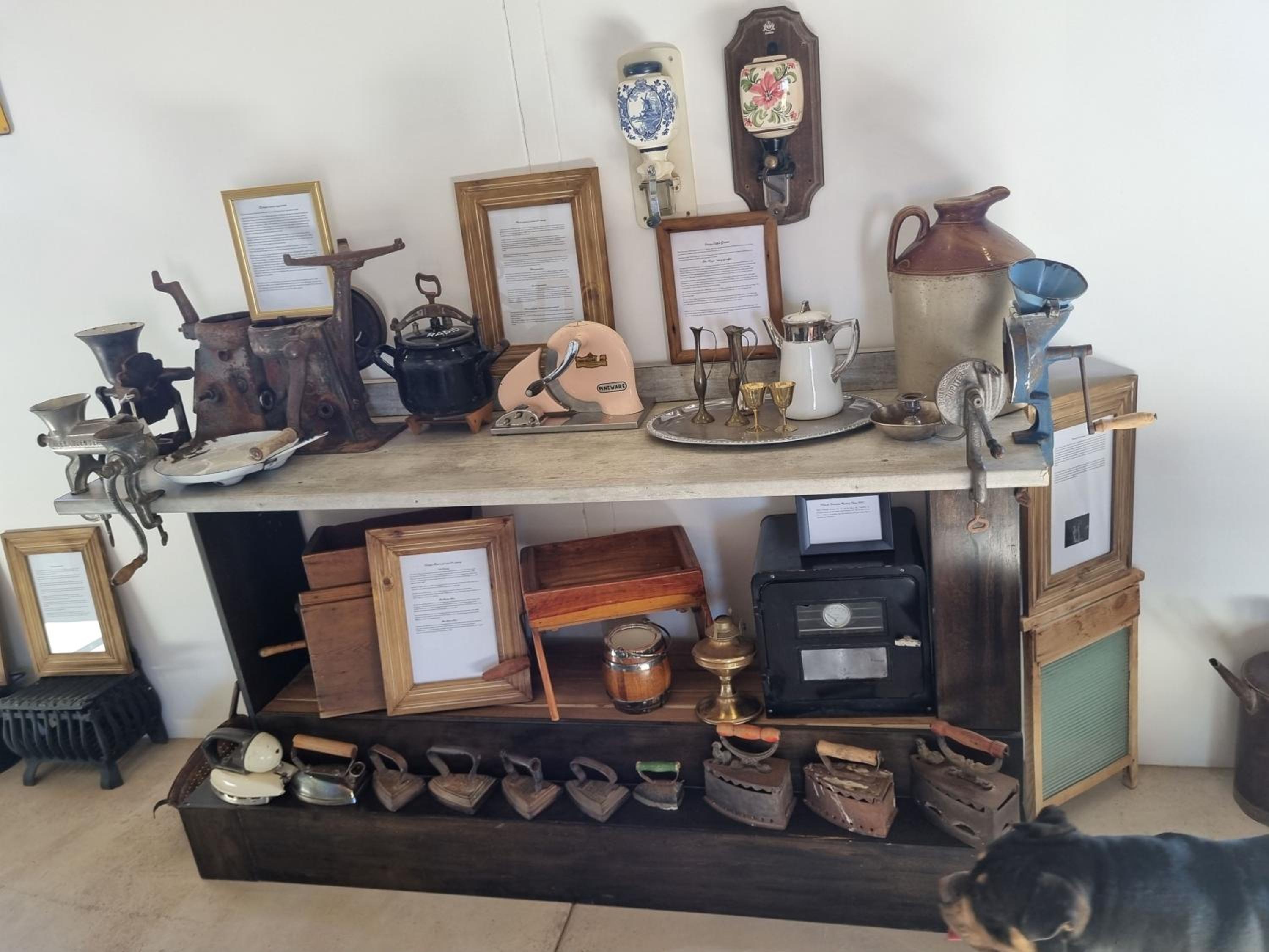 Betta Lodge
