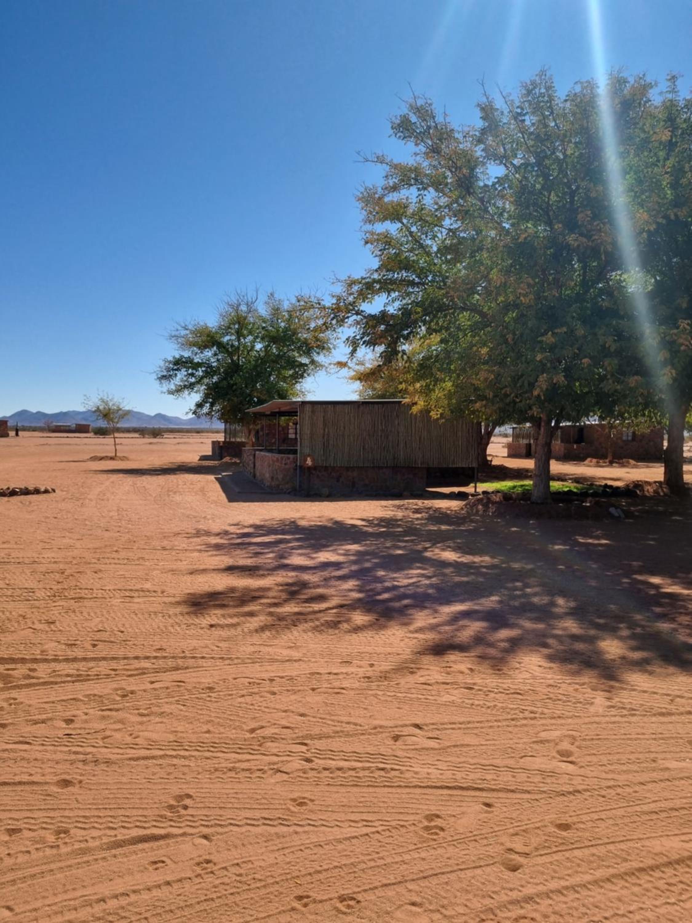 Betta Lodge