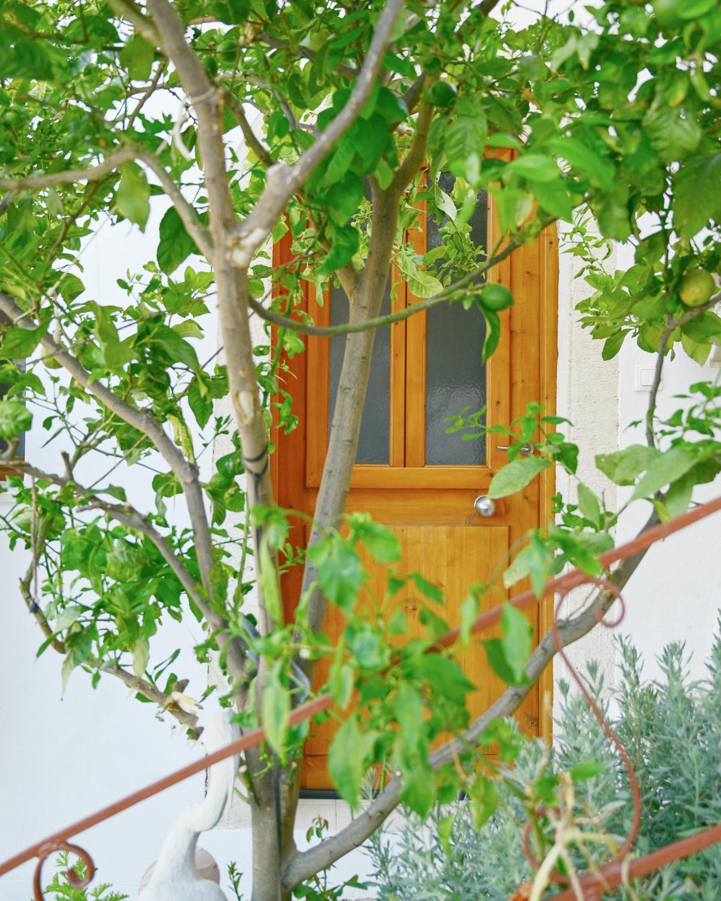 Guest house Dimitra