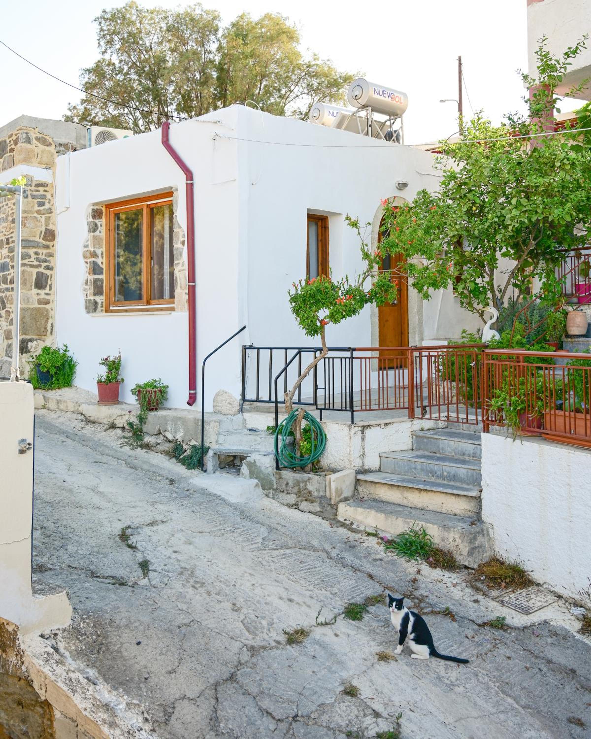 Guest house Dimitra