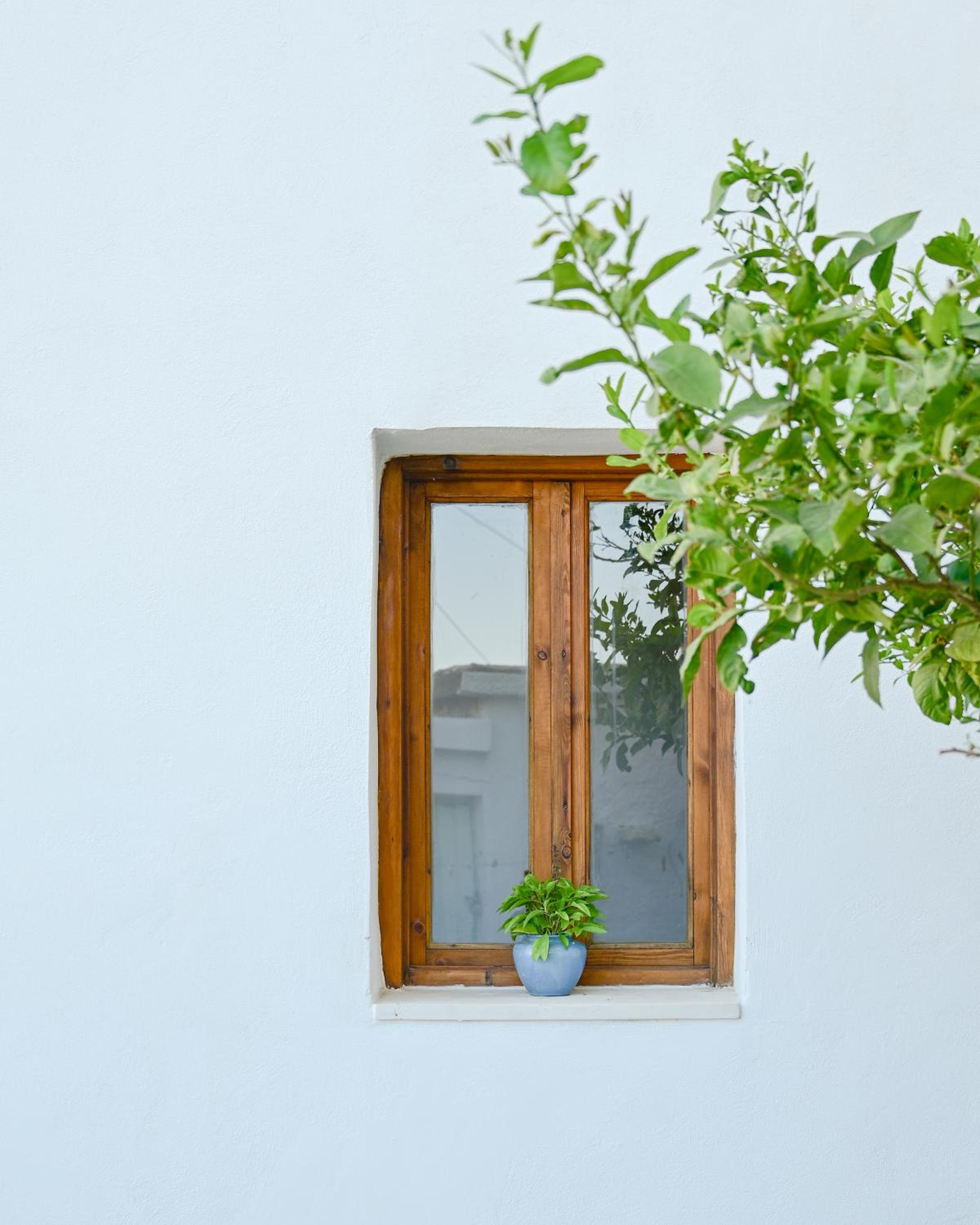 Guest house Dimitra
