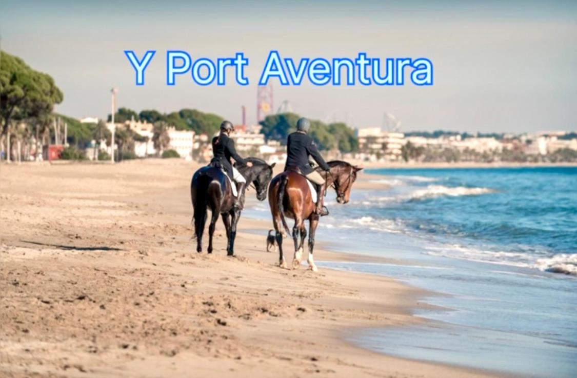APARTBEACH SIMBIOSIS y ACTIVIDADES ECUESTRES