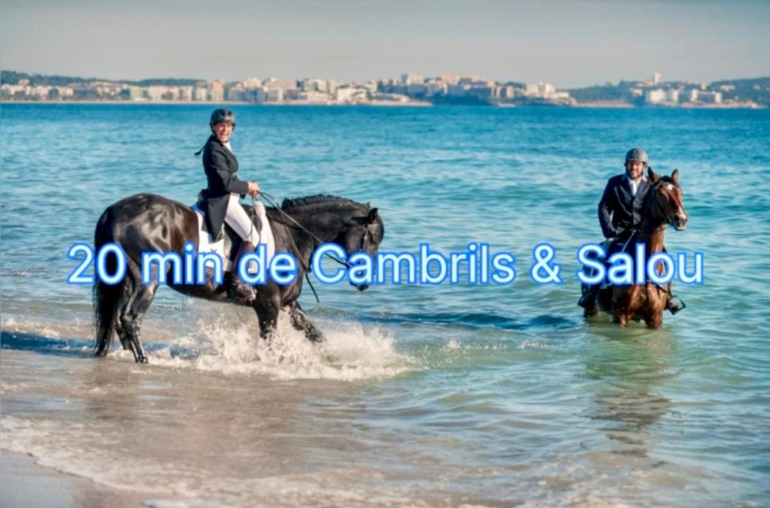 APARTBEACH SIMBIOSIS y ACTIVIDADES ECUESTRES