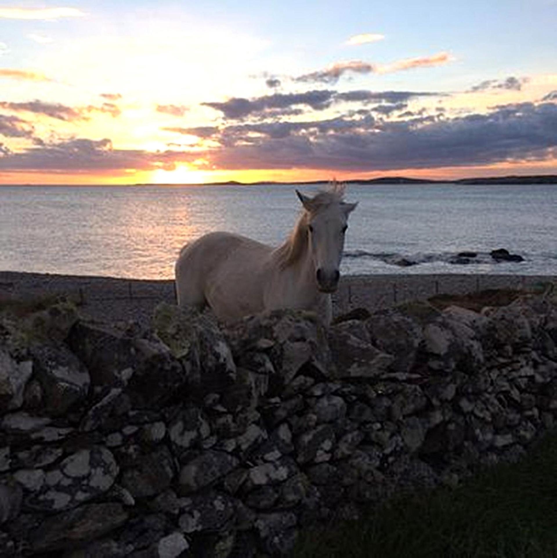 Clochan