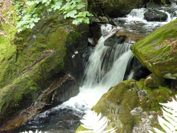 Photo 41