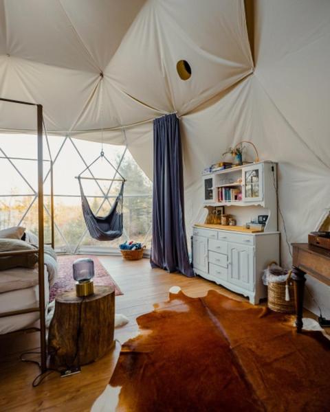 Forest Shore Dome
