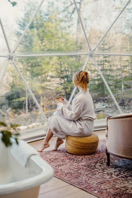 Forest Shore Dome