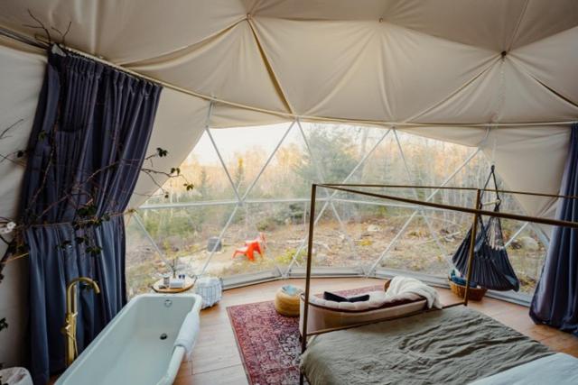 Forest Shore Dome