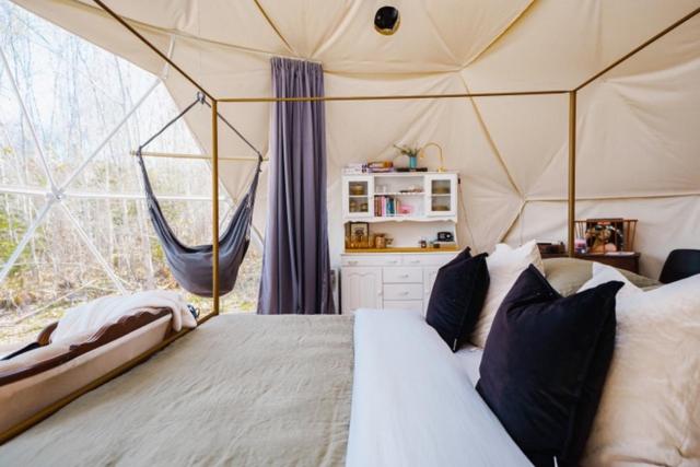 Forest Shore Dome