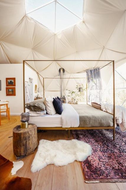 Forest Shore Dome