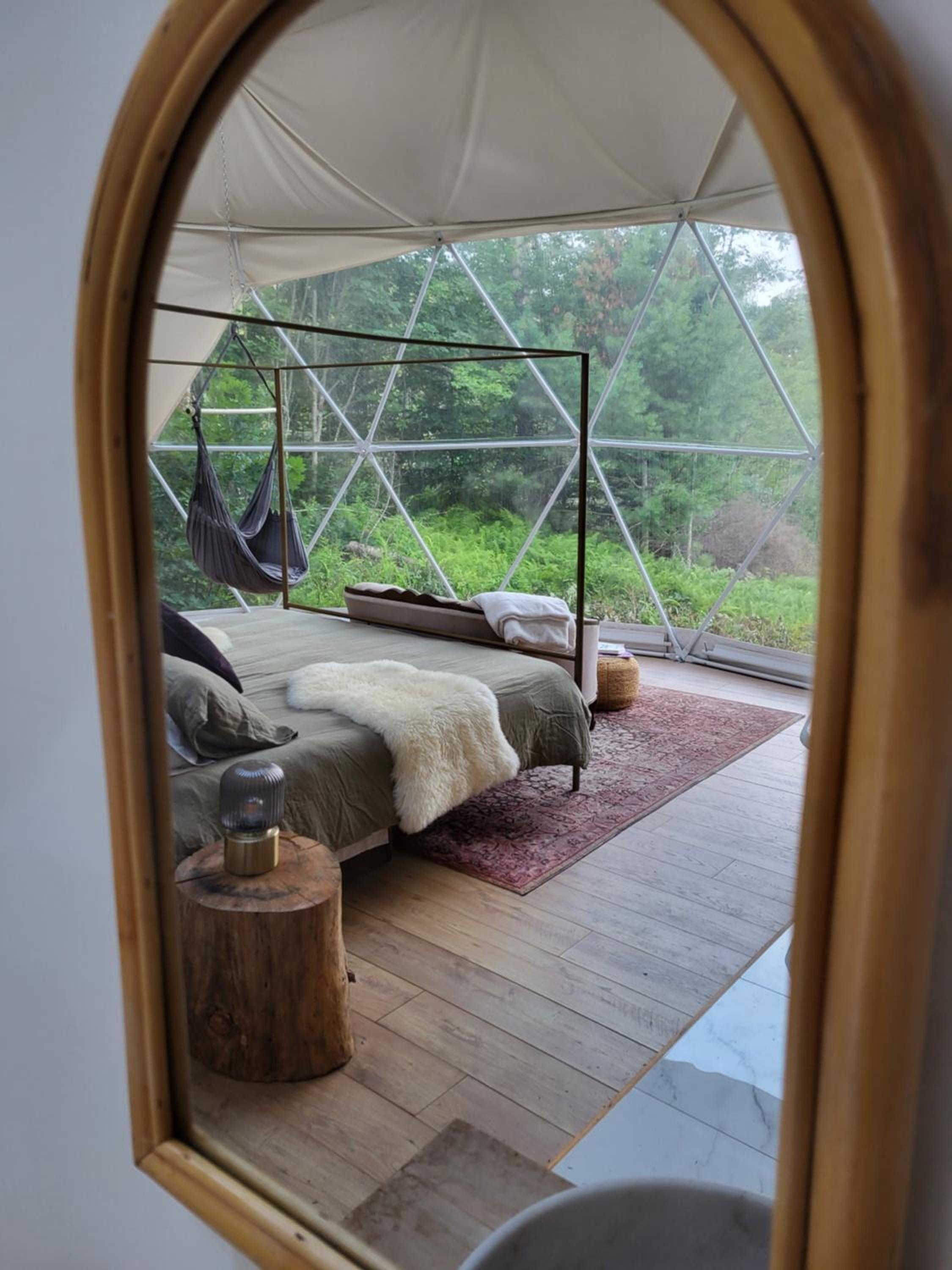 Forest Shore Dome
