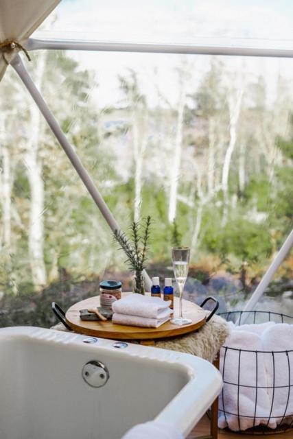 Forest Shore Dome