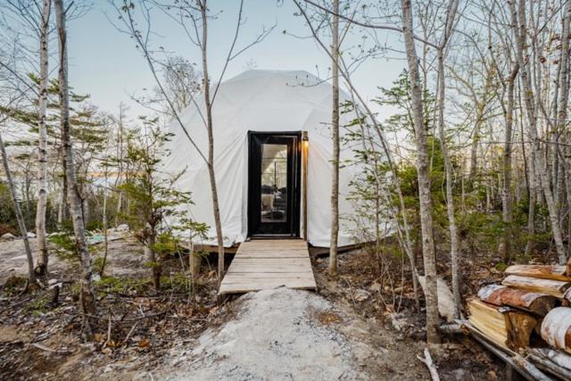 Forest Shore Dome
