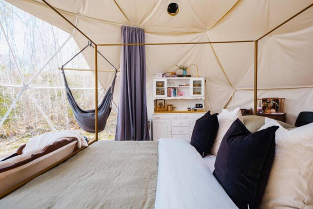 Forest Shore Dome