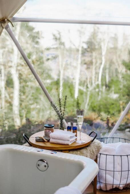 Forest Shore Dome