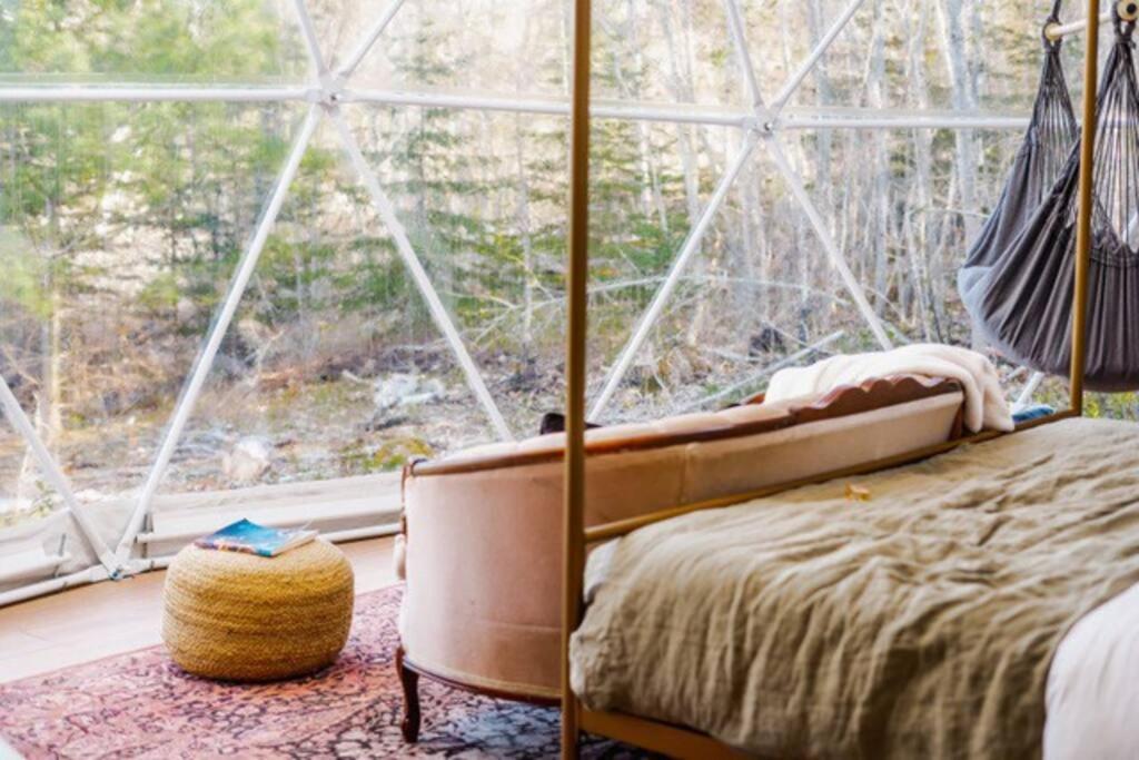 Forest Shore Dome